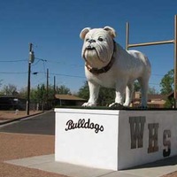 Mascot statue of a bulldog.