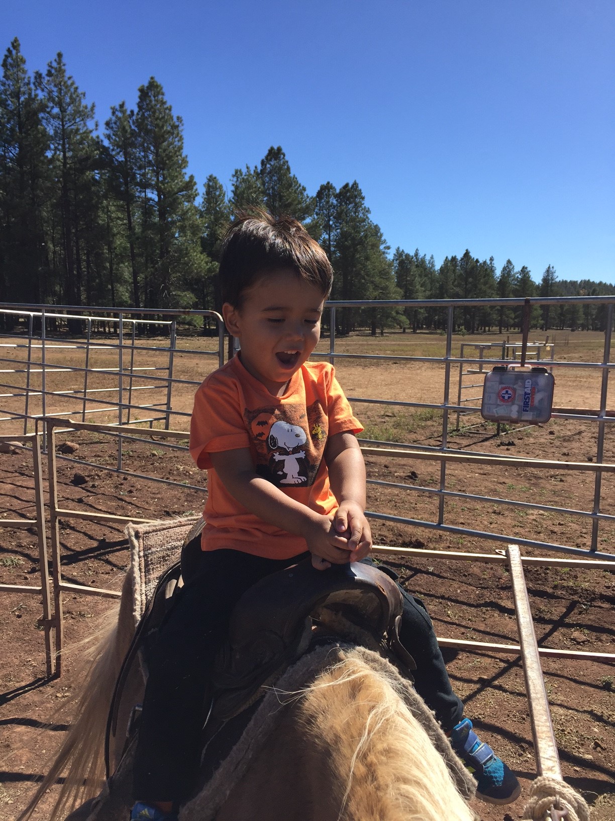 Ecse Early Childhood Special Education Arizona Department Of Education