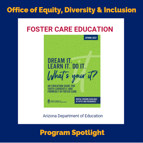 Foster care Education