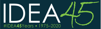IDEA 45th Anniversary Logo