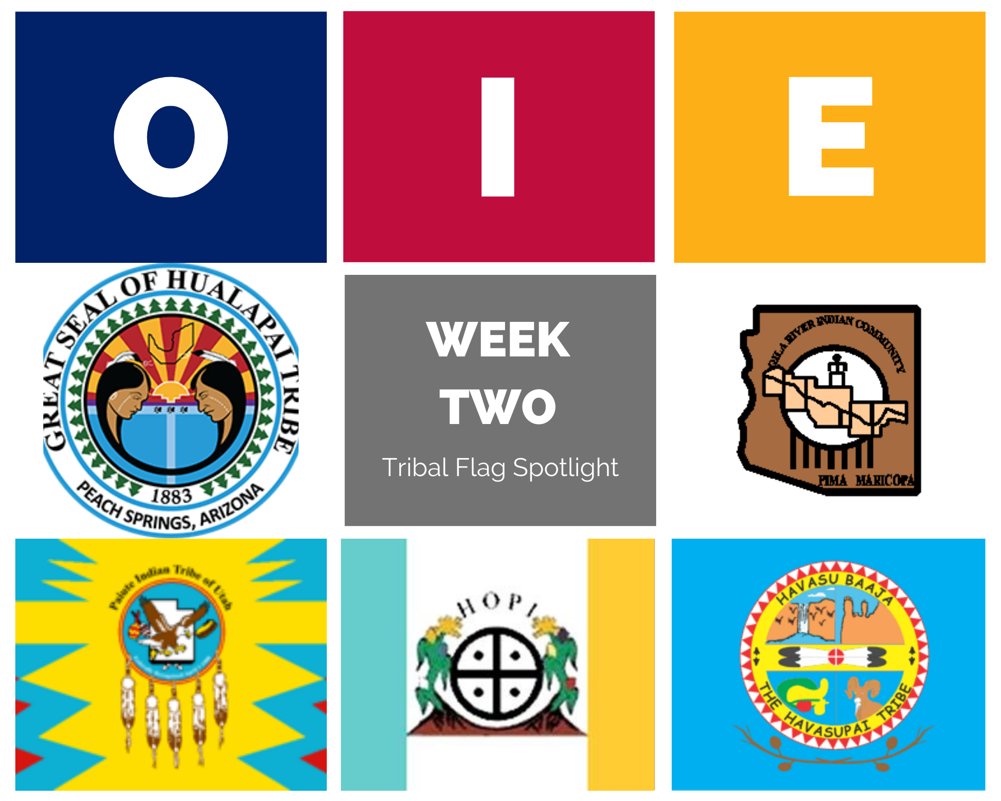 OIE Flag Spotlight - Week Two