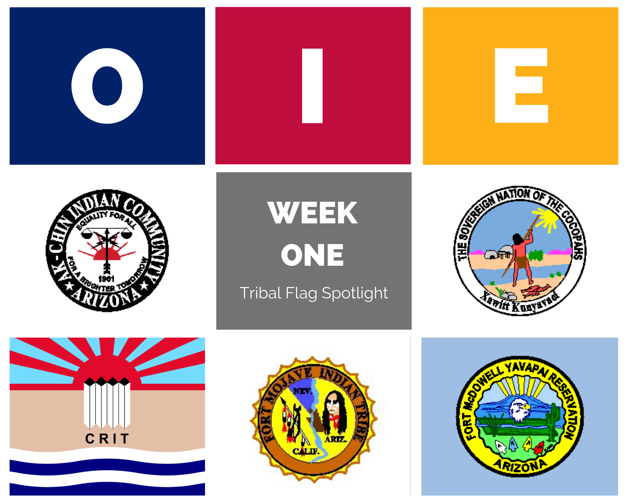 OIE Flag Spotlight - Week One
