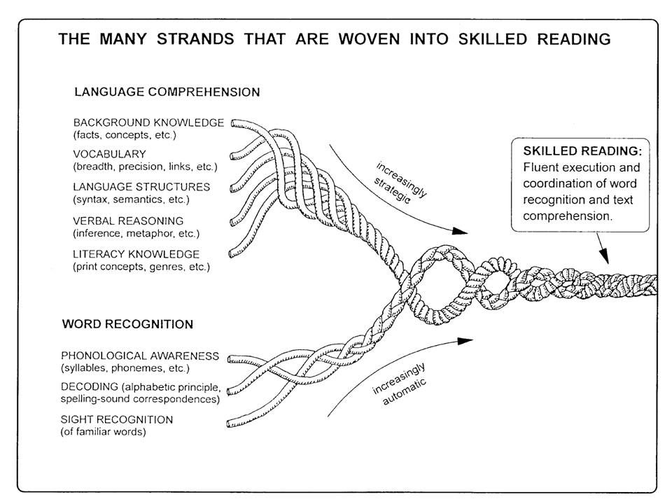 An image of Scarborough's Reading Rope.