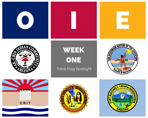 OIE Flag Spotlight - Week One