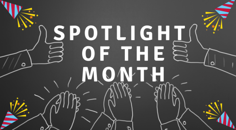 Spotlight of the month 
