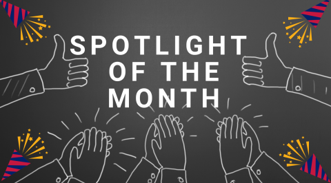 Spotlight of the month