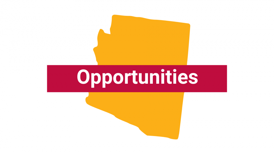 Yellow state of Arizona with the words "Opportunities" over it